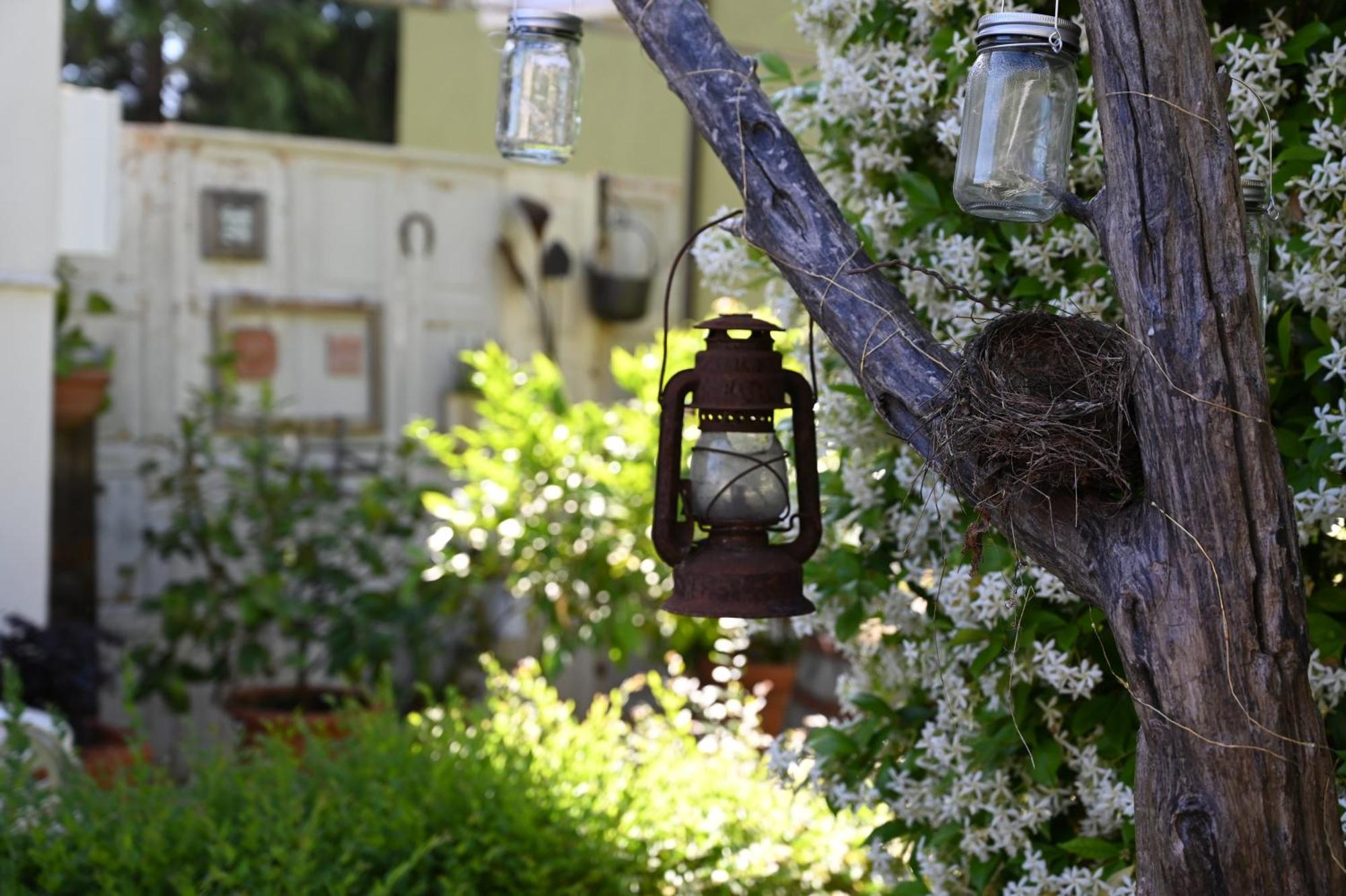 Bed and Breakfast La Garampa Чезена Екстер'єр фото